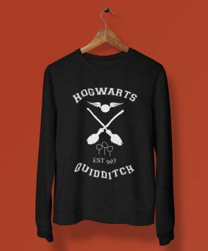 Moletom Harry Potter Quadribol